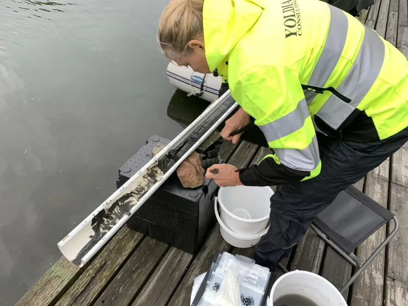 Person i varseljacka undersöker en uppskuren sedimentkärna på en brygga